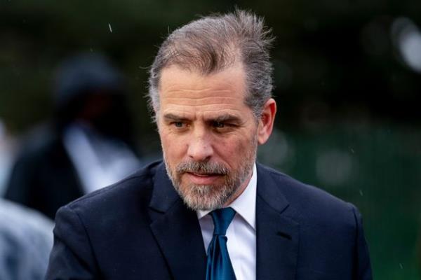 Hunter Biden has been the target of a probe (file)