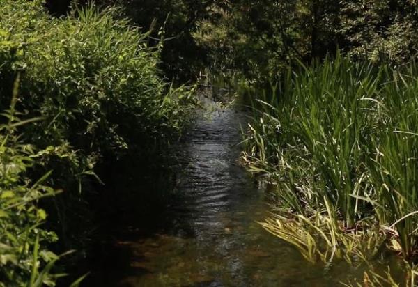 The Avon famously runs through Bristol