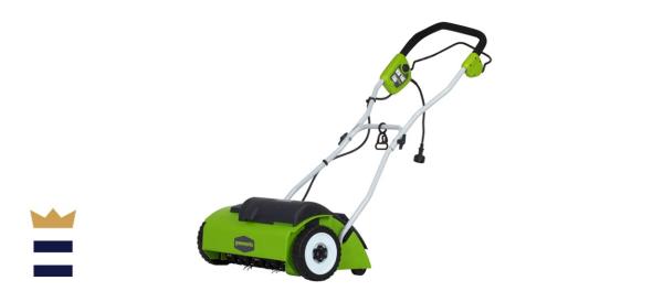 Greenworks 10 Amp 14-Inch Corded Dethatcher